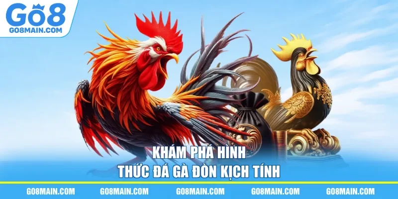 Khám phá hình thức đá gà đòn kịch tính