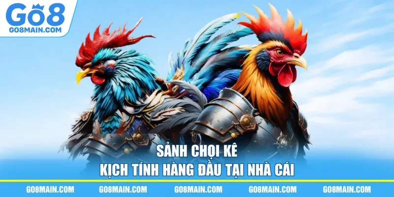 Sảnh chọi kê kịch tính hàng đầu tại nhà cái