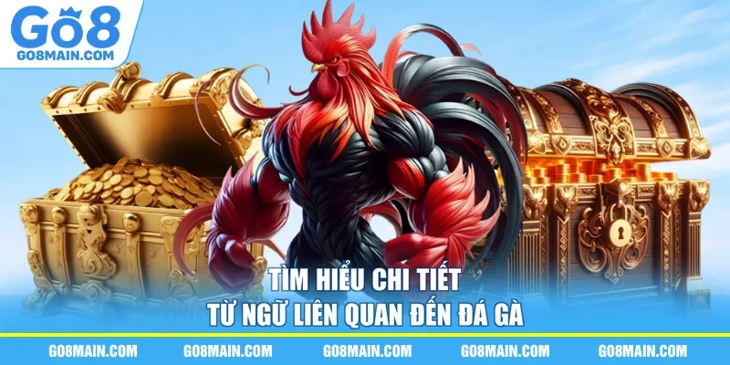Tìm hiểu chi tiết từ ngữ liên quan đến đá gà